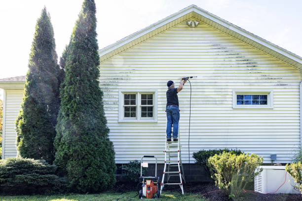 Best Patio and Deck Pressure Washing  in Mayville, NY